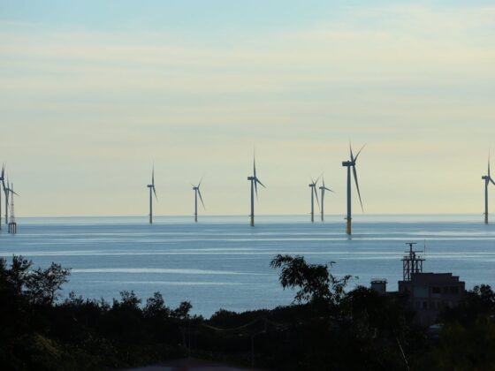 Impianto eolico offshore, come funziona